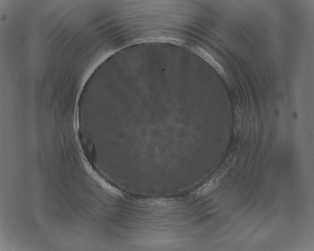 X0000073701084200608171107