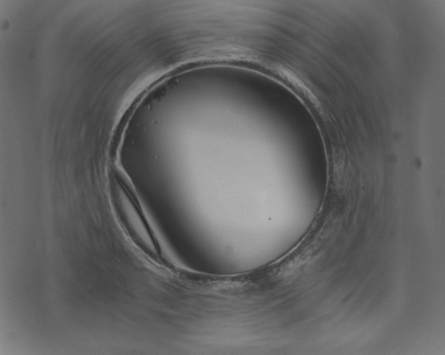 X0000073701085200608171107