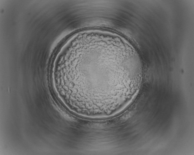 X0000073701086200608171107