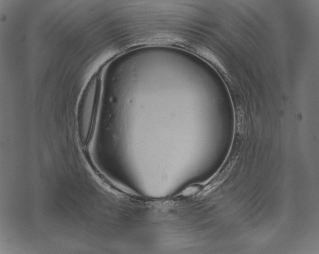 X0000073701087200608171107