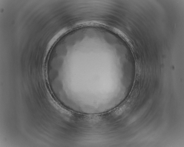 X0000073701090200608171107