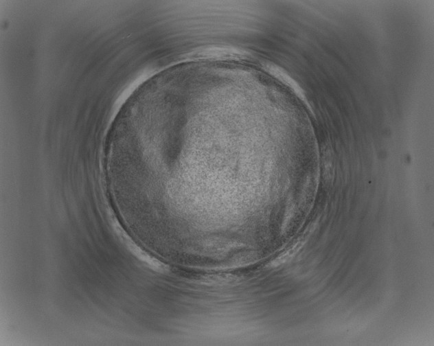 X0000073701091200608171107