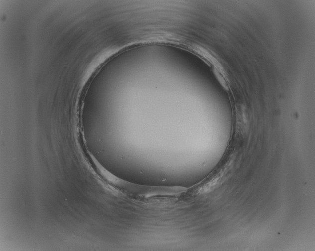 X0000073701093200608171107