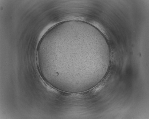 X0000073701094200608171107