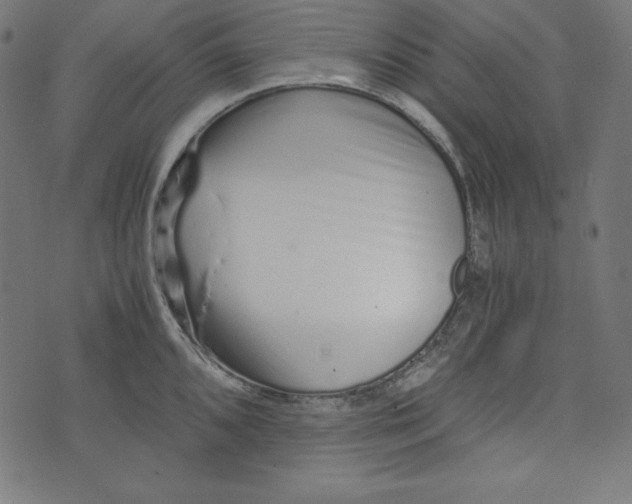 X0000073701096200608171107