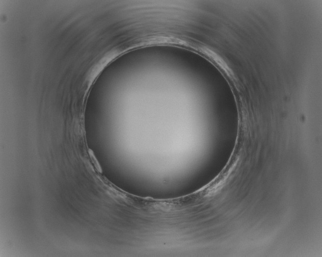 X0000073701097200608171107