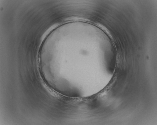 X0000073701098200608171107