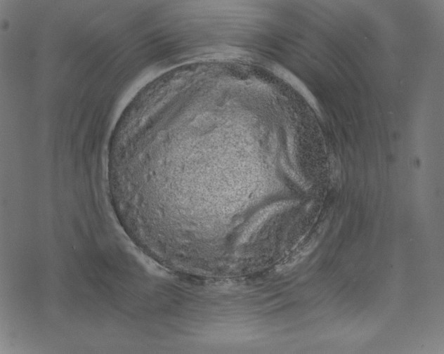 X0000073701099200608171107