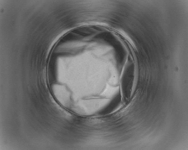 X0000073701100200608171107