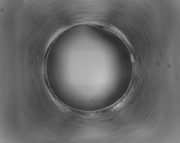 X0000073701101200608171107