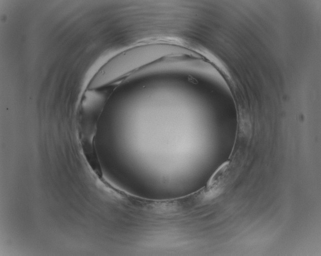 X0000073701102200608171107