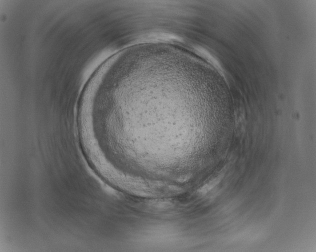 X0000073701103200608171107