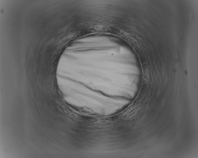 X0000073701105200608171106