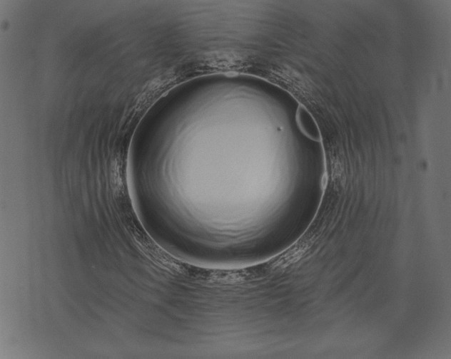 X0000073701106200608171106