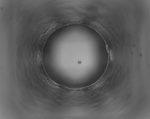 X0000073701107200608171106