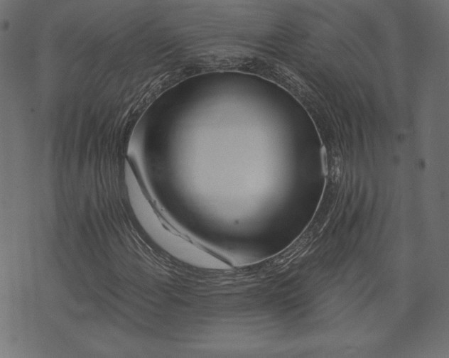 X0000073701108200608171106