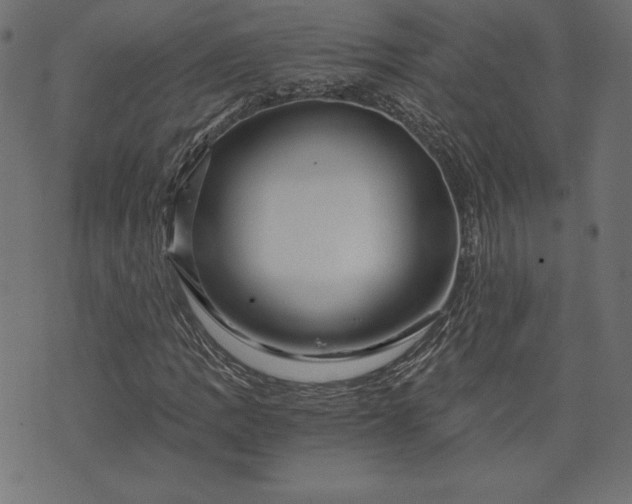 X0000073701109200608171106