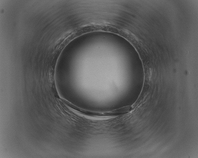 X0000073701110200608171106