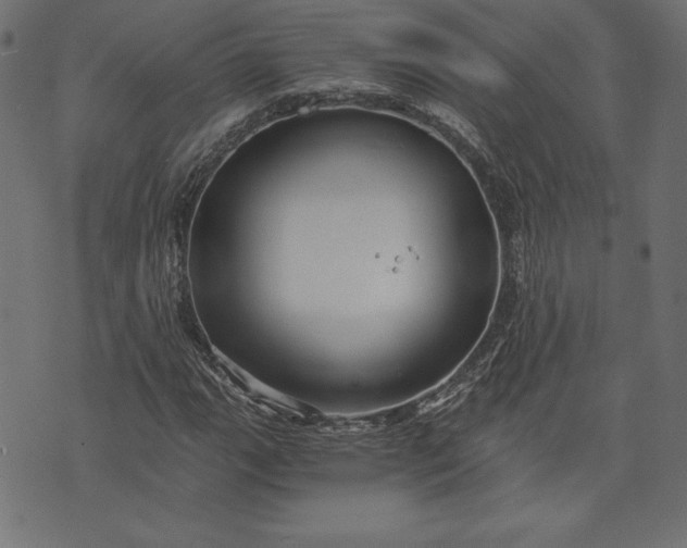 X0000073701111200608171106