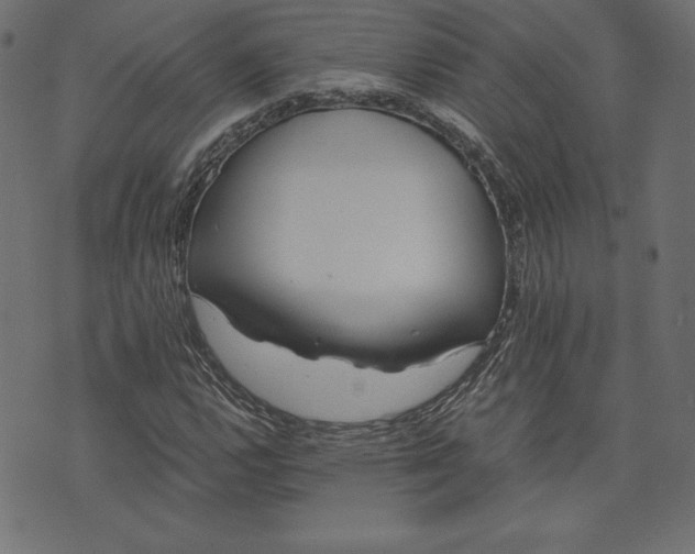 X0000073701112200608171106