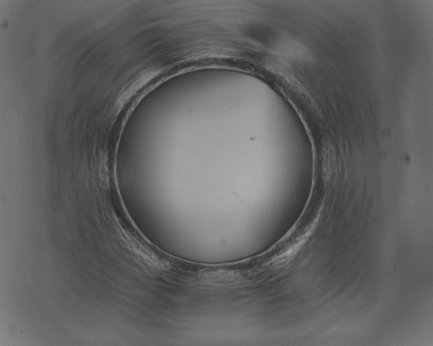 X0000073701113200608171106