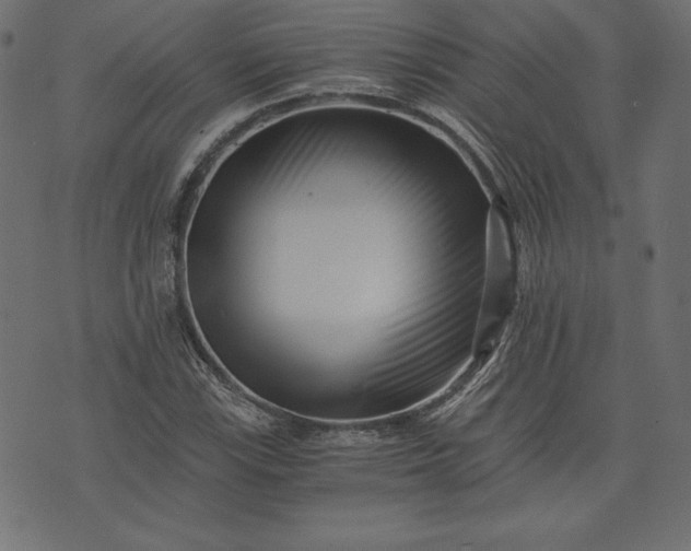 X0000073701115200608171106