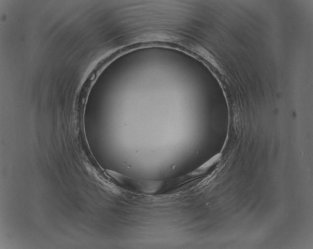 X0000073701116200608171106