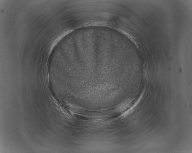 X0000073701117200608171106