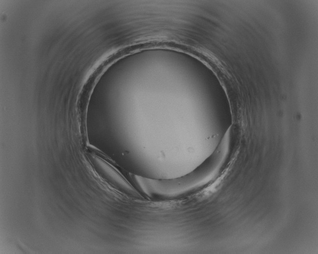 X0000073701118200608171106