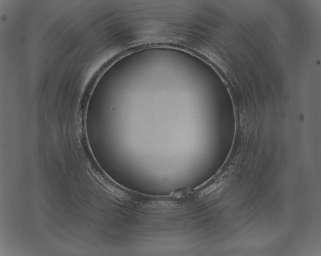 X0000073701119200608171106