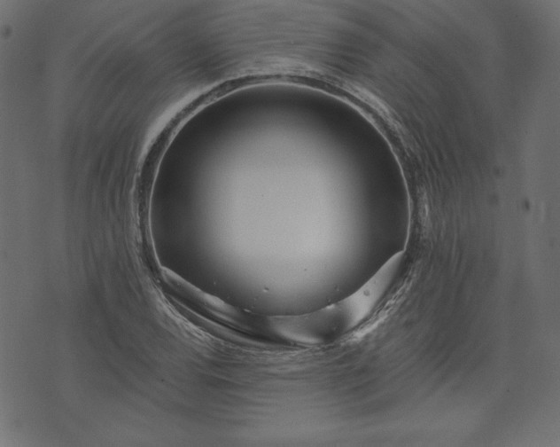 X0000073701120200608171106