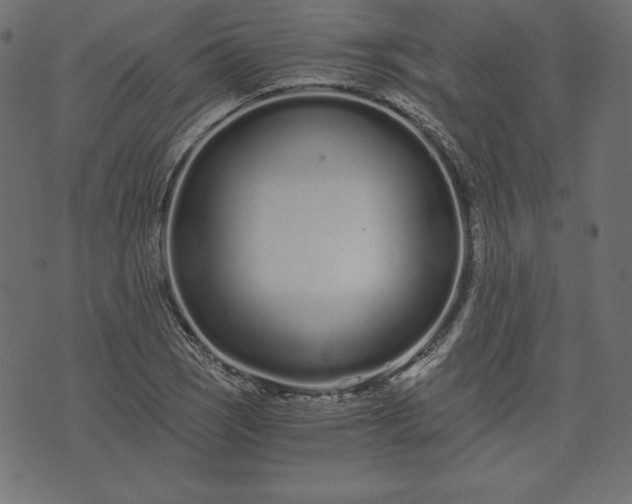 X0000073701121200608171106