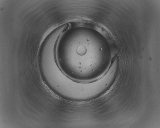 X0000073701122200608171106