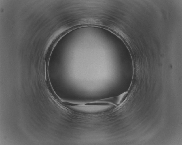 X0000073701123200608171106