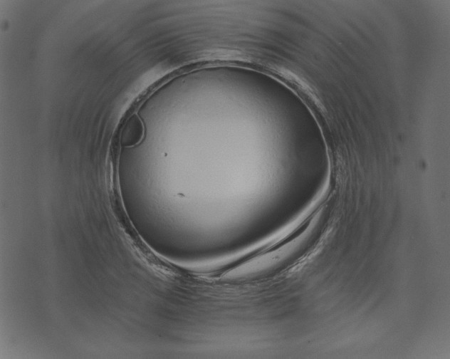 X0000073701125200608171106