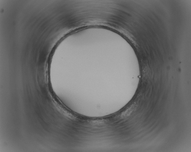 X0000073701126200608171106