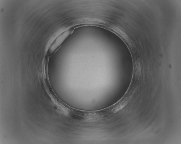 X0000073701128200608171106