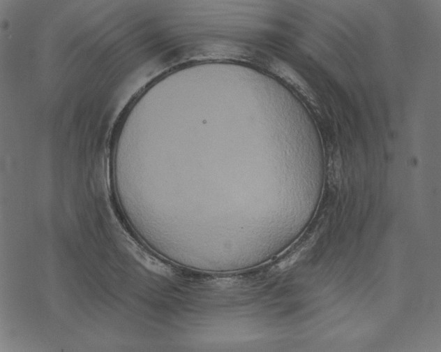 X0000073701130200608171106