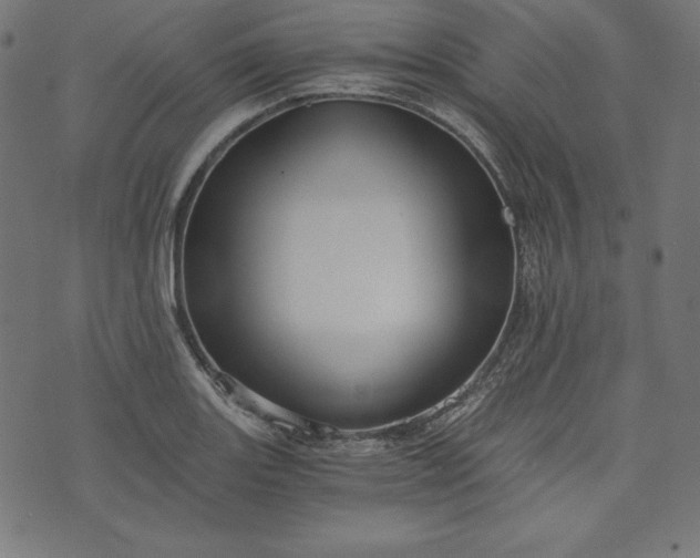 X0000073701131200608171106