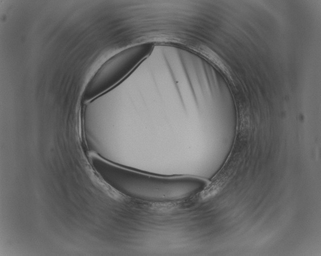 X0000073701132200608171106