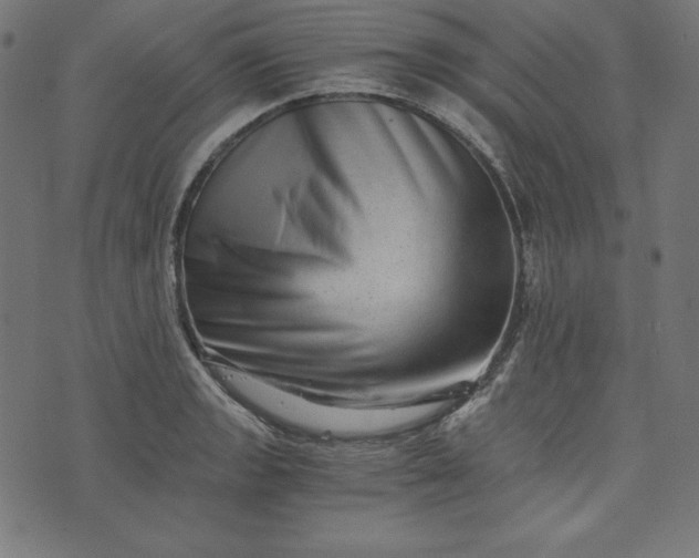 X0000073701133200608171106