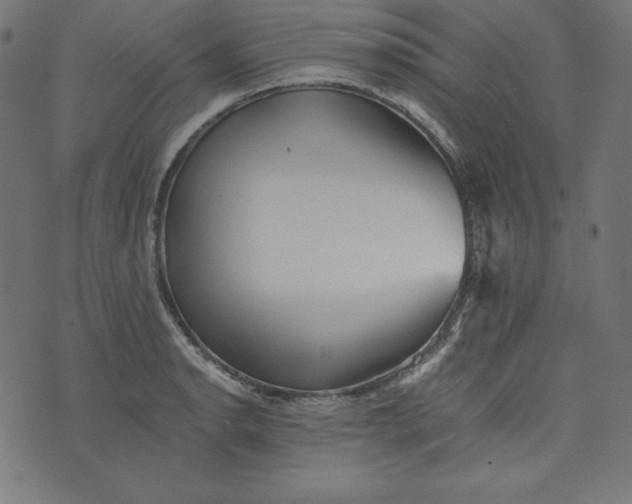 X0000073701134200608171106