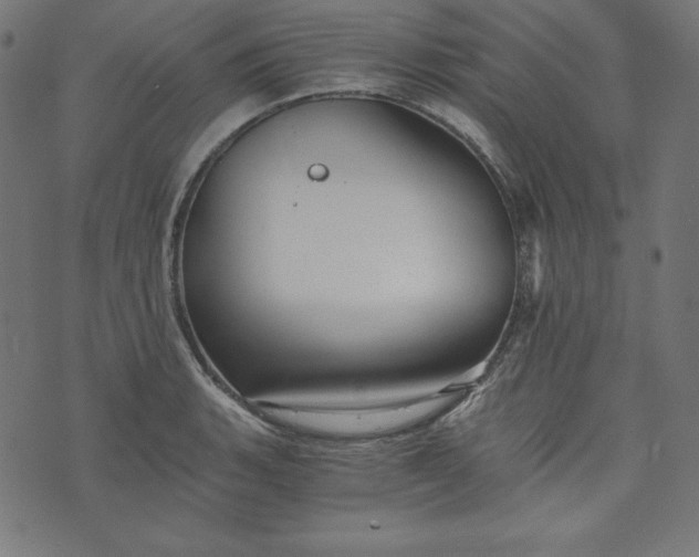 X0000073701135200608171106