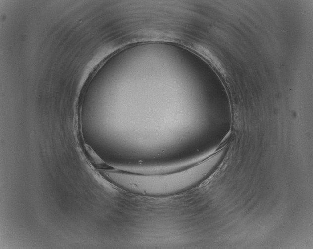 X0000073701136200608171106