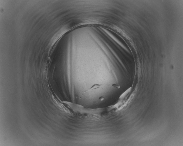 X0000073701137200608171106