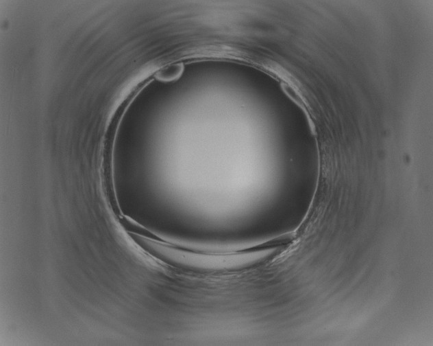 X0000073701139200608171106