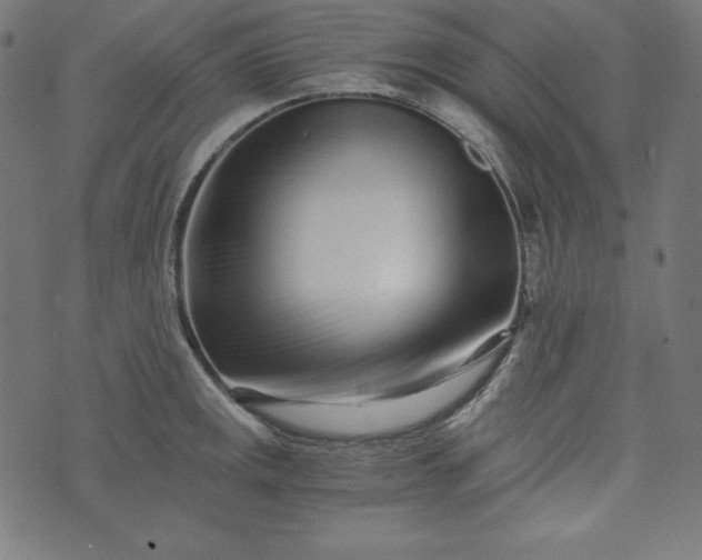 X0000073701141200608171106