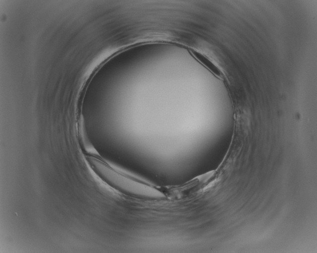 X0000073701143200608171106