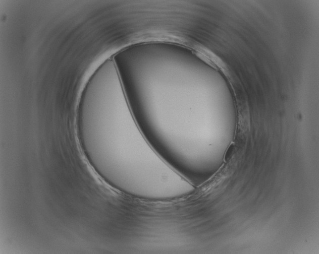 X0000073701144200608171106