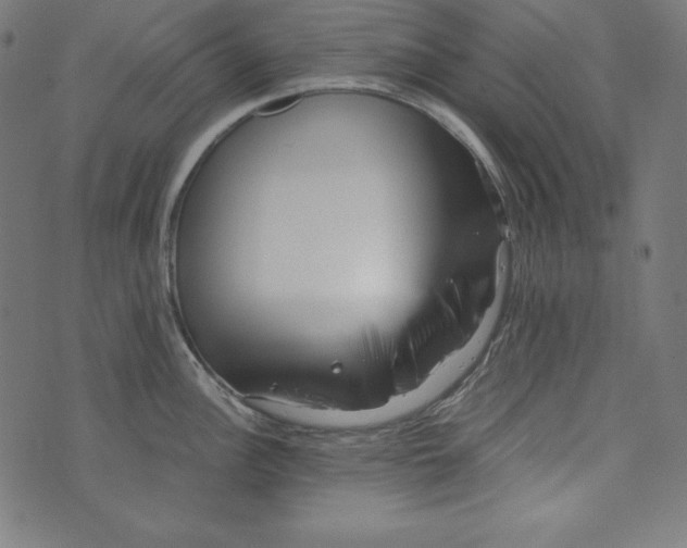 X0000073701148200608171106